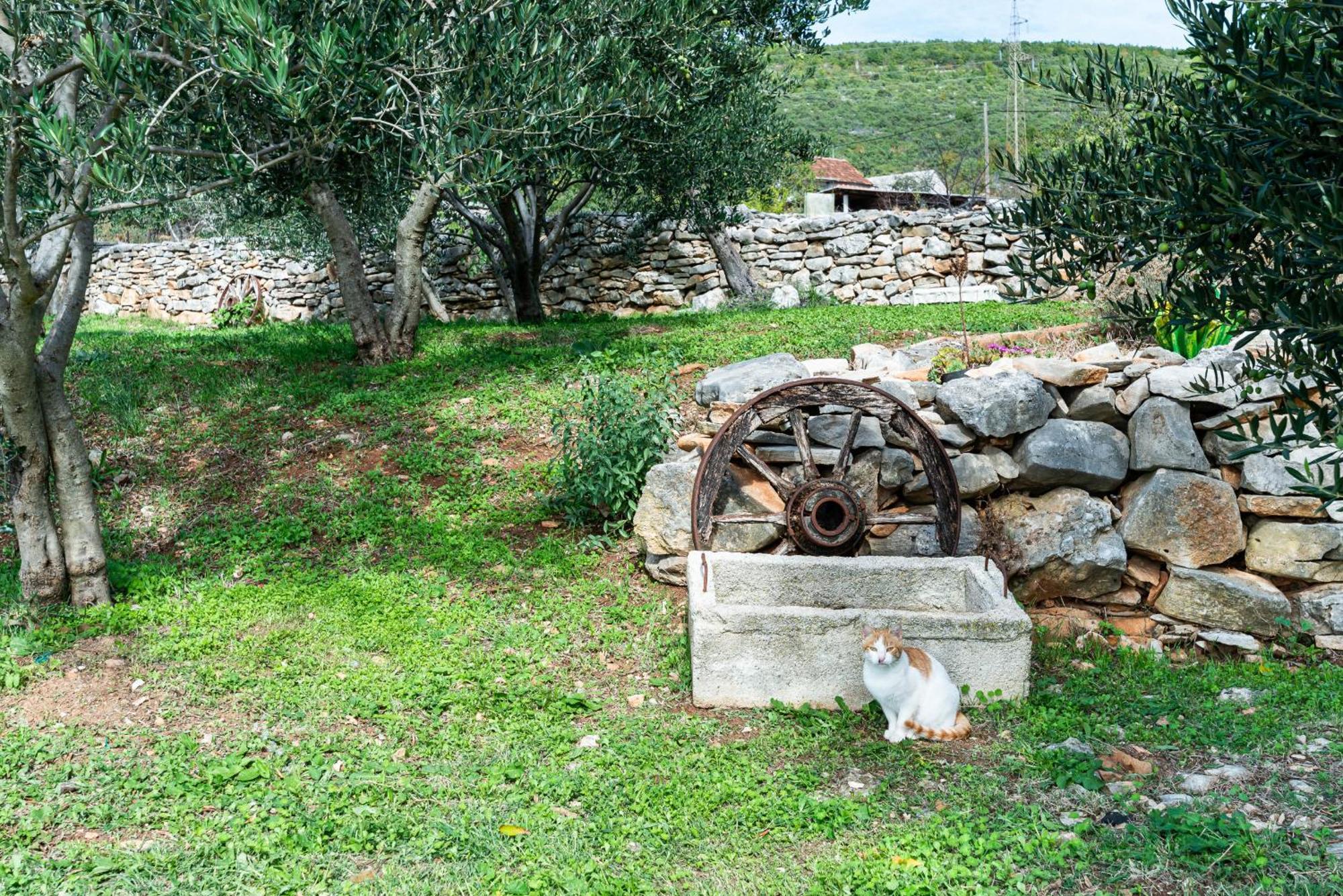Dalmatian Country House Irena Bruska Luaran gambar